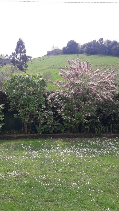 Holiday home Casina Manzana Villaviciosa (Asturias)