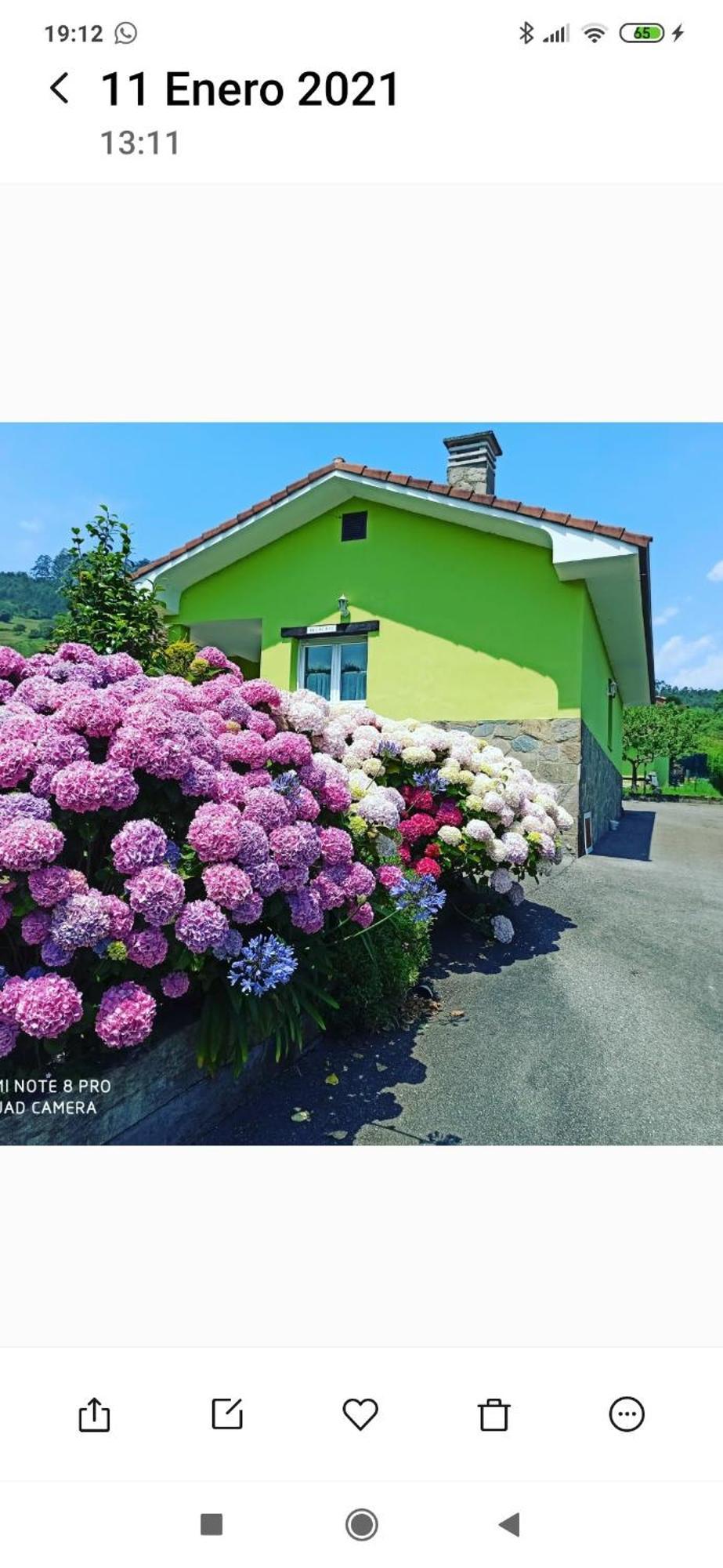 Casina Manzana Casa vacanze *